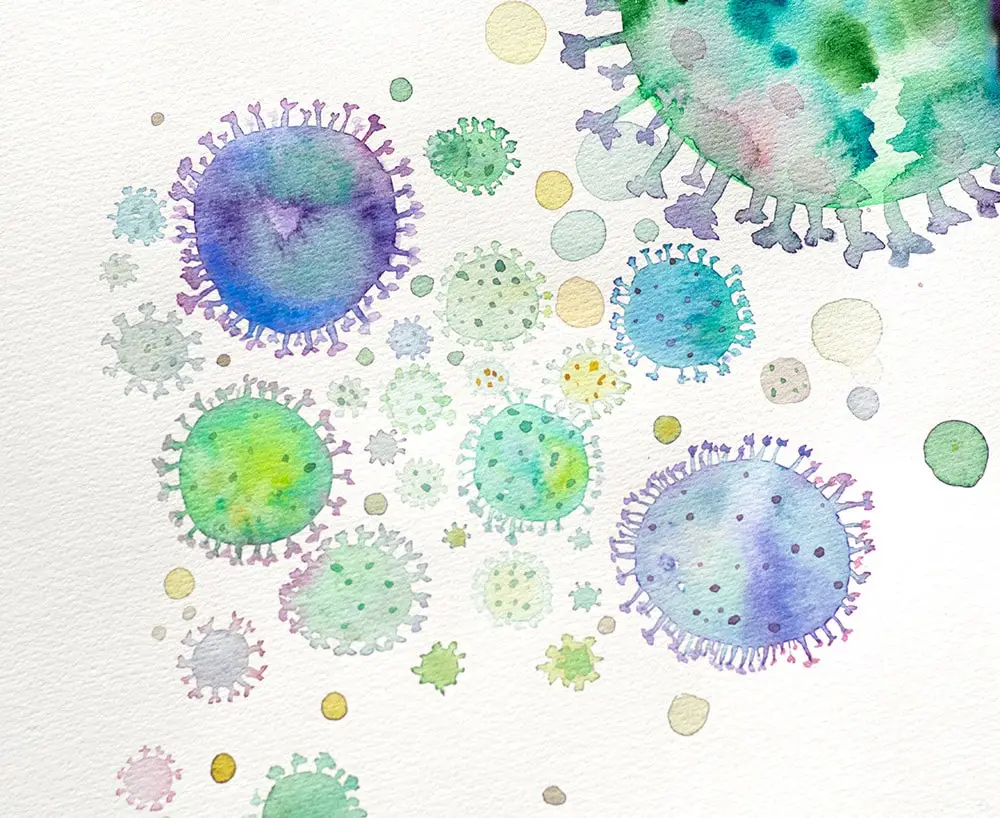Toxoplasmosis: bacteria under the microscope