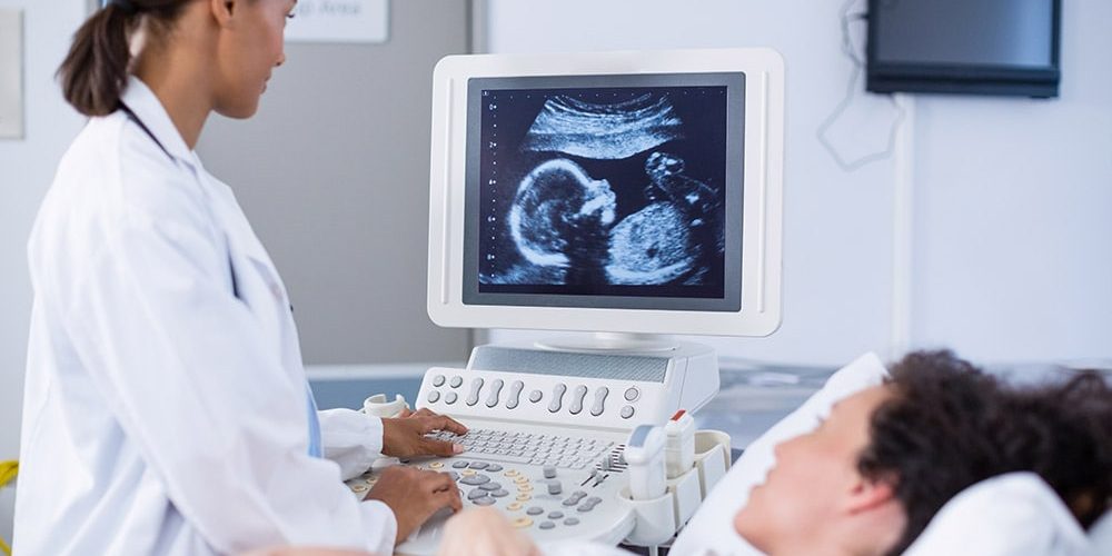 Banki nasienia i komórek jajowych