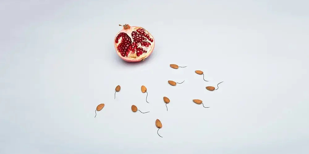 In vitro fertilization