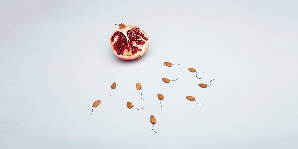 Zapłodnienie in vitro