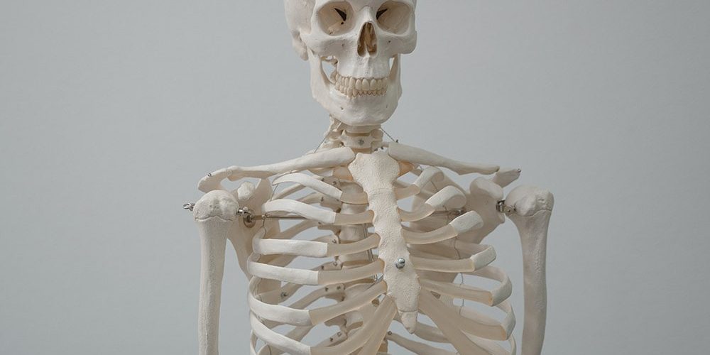 Densytometria: szkielet