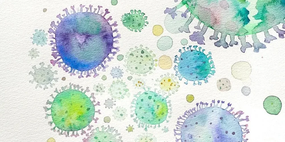 Toksoplazmoza: bakterie pod mikroskopem